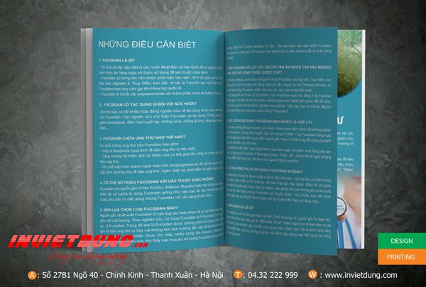 Mẫu catalouge Fucoidan, Mẫu catalogue giới thiệu sản phẩm đẹp ấn tượng